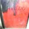 PHAEDO "LANDSCAPES" view 1