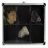 5615 Display Case for Minerals and Models view 1