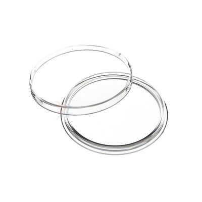 10 Pack Direct Fit Airtites for Large Dollars "H38".