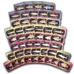 Fish IDZ Trading Cards - Set of 48 Freshwater Fish Identification Cards