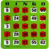 Regal Bingo Bulk Bingo Cards with Sliding Windows - Reusable Large Print Bingo Game Cards for Adults Large Group - 25 Pack, Green view 1