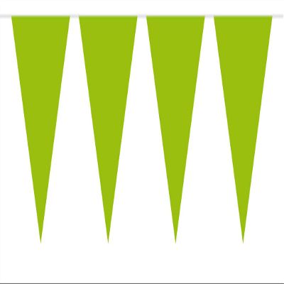 Bunting Green 10m with 15 Flags, Triangles Plastic