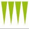 Bunting Green 10m with 15 Flags, Triangles Plastic view 1