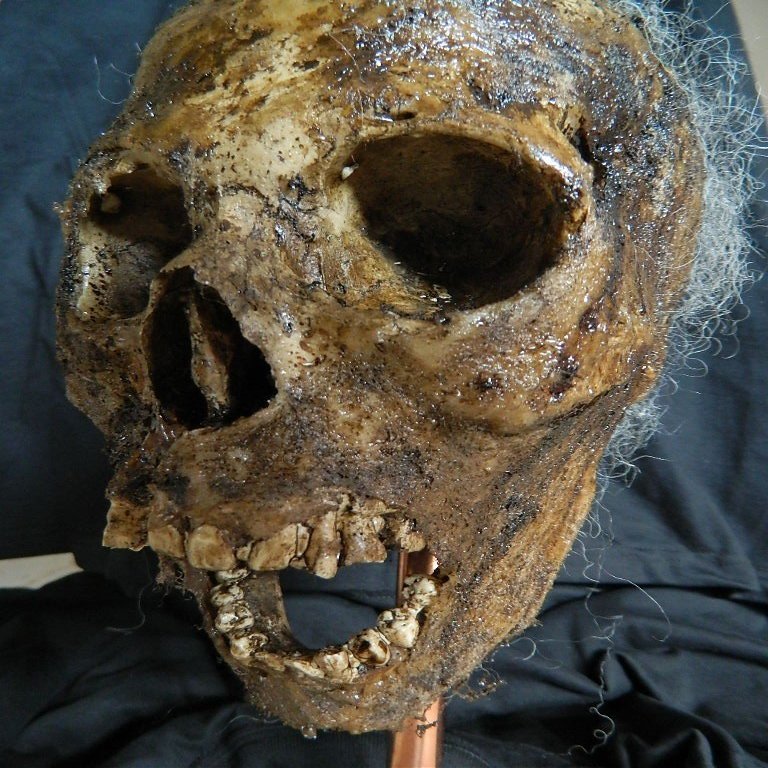 Halloween Horror Movie Prop Human Corpse Skull Head " Rancid Renea"