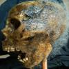 Halloween Horror Movie Prop Human Corpse Skull Head " Rancid Renea" view 2