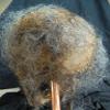 Halloween Horror Movie Prop Human Corpse Skull Head " Rancid Renea" view 4