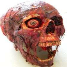 Halloween Horror Movie Prop Corpse Head Skull "Bloody Bill"
