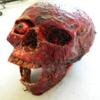 Halloween Horror Movie Prop Corpse Head Skull "Bloody Bill" view 3