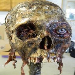 Halloween Horror Movie Prop Human Corpse Skull Head "Twisted Tristen"