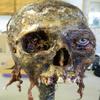 Halloween Horror Movie Prop Human Corpse Skull Head "Twisted Tristen" view 1