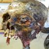 Halloween Horror Movie Prop Human Corpse Skull Head "Twisted Tristen" view 2