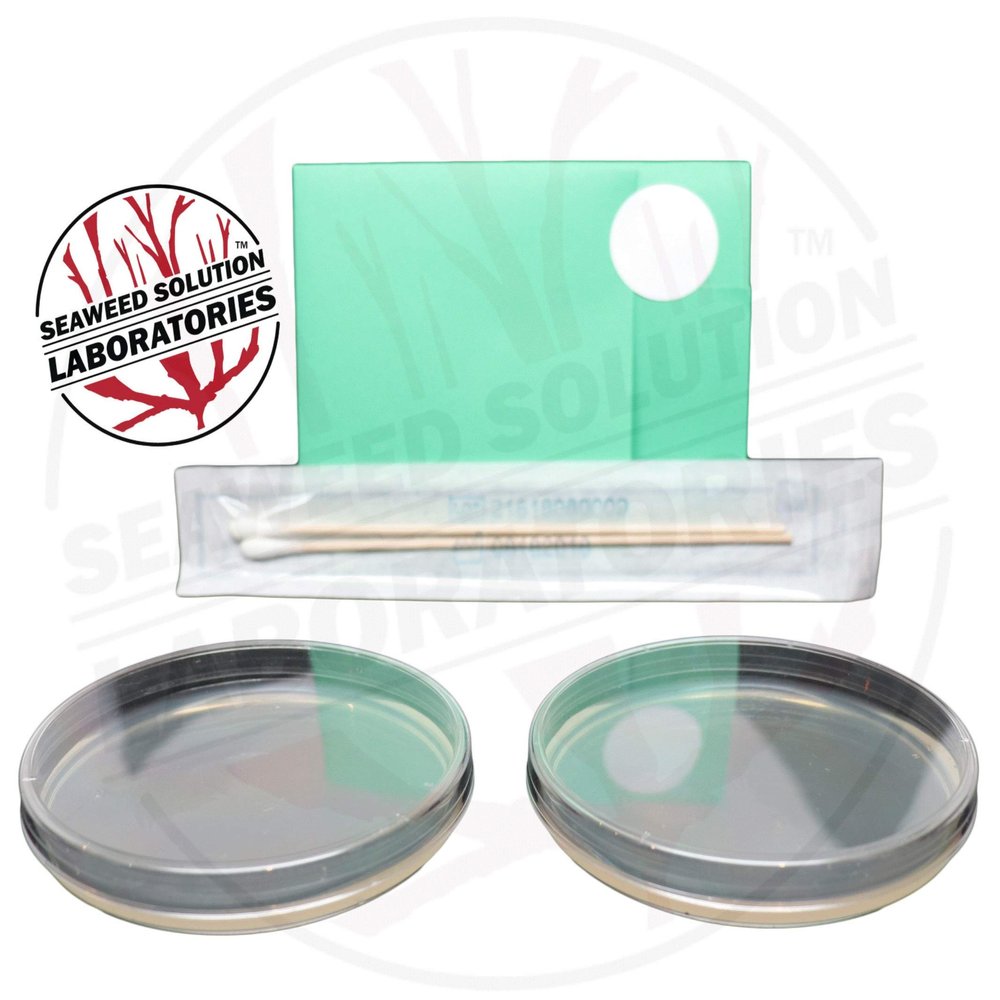 Nutrient Agar Plates - Sterilized - 2, 100 Millimeter
