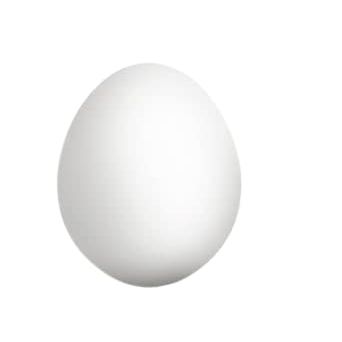 Alan Wong Silicone Egg Trick