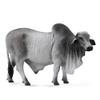 CollectA 88579 Grey Polled Brahman Bull, 5.3"L x 3.3"H , Gray view 1