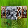 FERAL 5 Pack Bicycle Playing Cards view 4