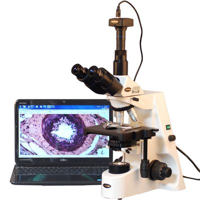 AmScope T690C-PL-M Digital Trinocular Compound Microscope, 40X-2500X Magnification, WH10x and WH25x Super-Widefield Eyepieces, Infinity Plan Achromatic Objectives, Brightfield, Kohler Condenser, Double-Layer Mechanical Stage, Includes 1.3MP Camera wi