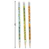 Fun Express 100 Days Brighter Pencils-2 Dz - 24 Pieces - Educational And Learning Activities For Kids view 3