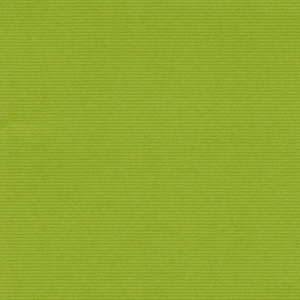 Escent 41080003 Colored Drawing Paper, Muse Cotton, Thick, 8 Cut, Wakasa, 100 Sheets