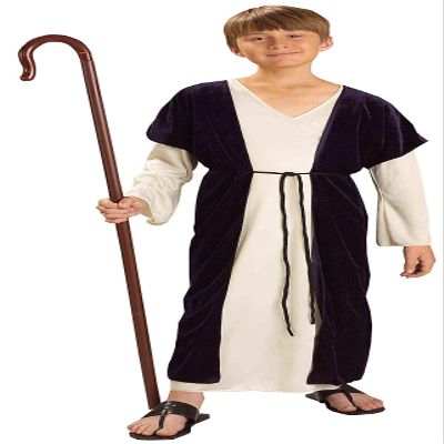 Rubies Child's Forum Biblical Times Shepherd Costume, Medium for Themed Parties and Halloween