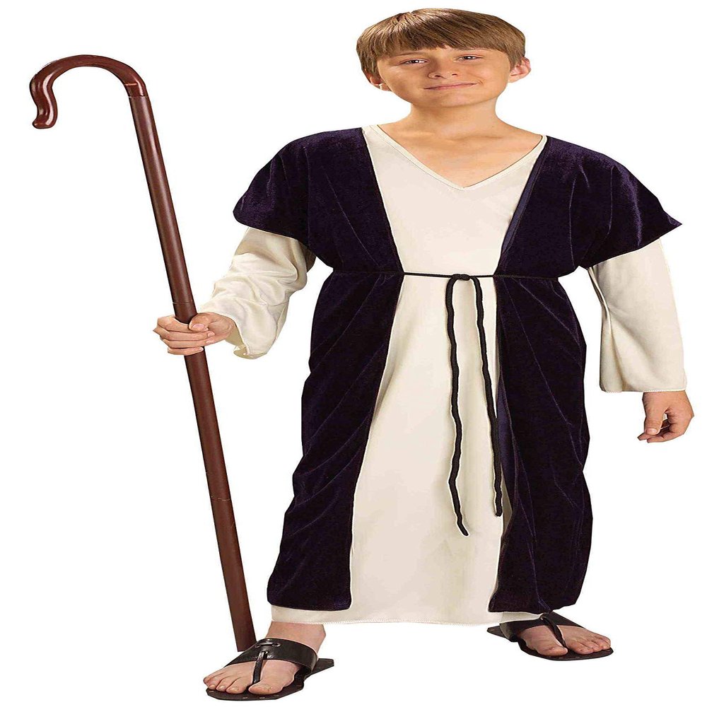 Rubies Child's Forum Biblical Times Shepherd Costume, Medium for Themed Parties and Halloween