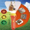 Brainstorm TOYS Horse Flashlight and Projector view 3