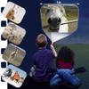 Brainstorm TOYS Horse Flashlight and Projector view 4