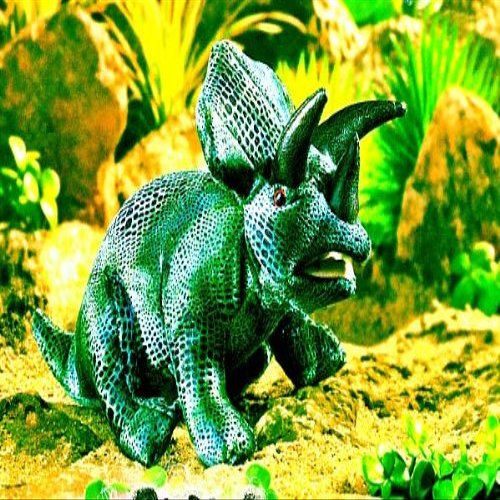 Baby Triceratops