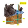 Rasta Imposta Doggie Basket Gingham Trim Costume Purse Accessory view 2