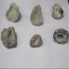 1/2 GEODES:OCOS (1"-2.5") view 1