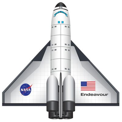 WindNSun FlightZone SpaceShuttle Endeavour Nylon Kite, 52 Inches Wingspan