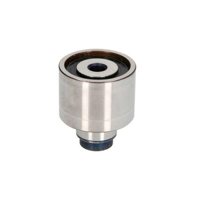 INA SBDS Deflection Pulley 532062310