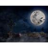 Boland 74534 Crow, Black, 23 x 10 cm view 3