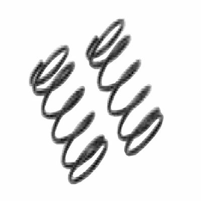 Pro Shock Spring for BD-7RS (Black, 2 Pack) YS-1465L