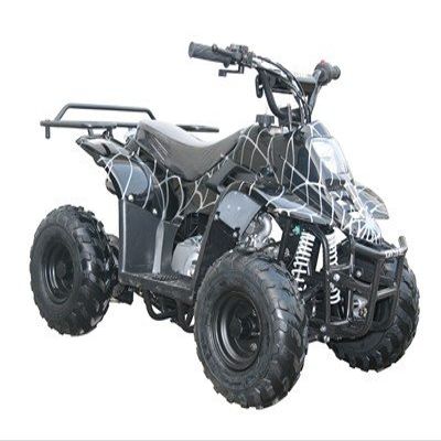 110CC Kid ATV QUAD COOLSTER-3050C 6" Wheel