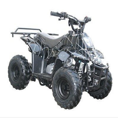 110CC Kid ATV QUAD COOLSTER-3050C 6" Wheel