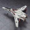 Hasegawa view 3