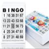 DiPrint 500 Bingo cards System 24 of 75 view 1