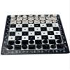 Stylish Durable Plastic Braille and Sighted Chess Set, The Oldest and Most Popular Board Game, for Teachers, Family, Teens, and Gifts- by Blind in Mind, The Braille Superstore view 1