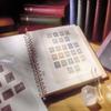 Lindner 514-06 Palau - Illustrated album pages Year 2006-2008 view 1