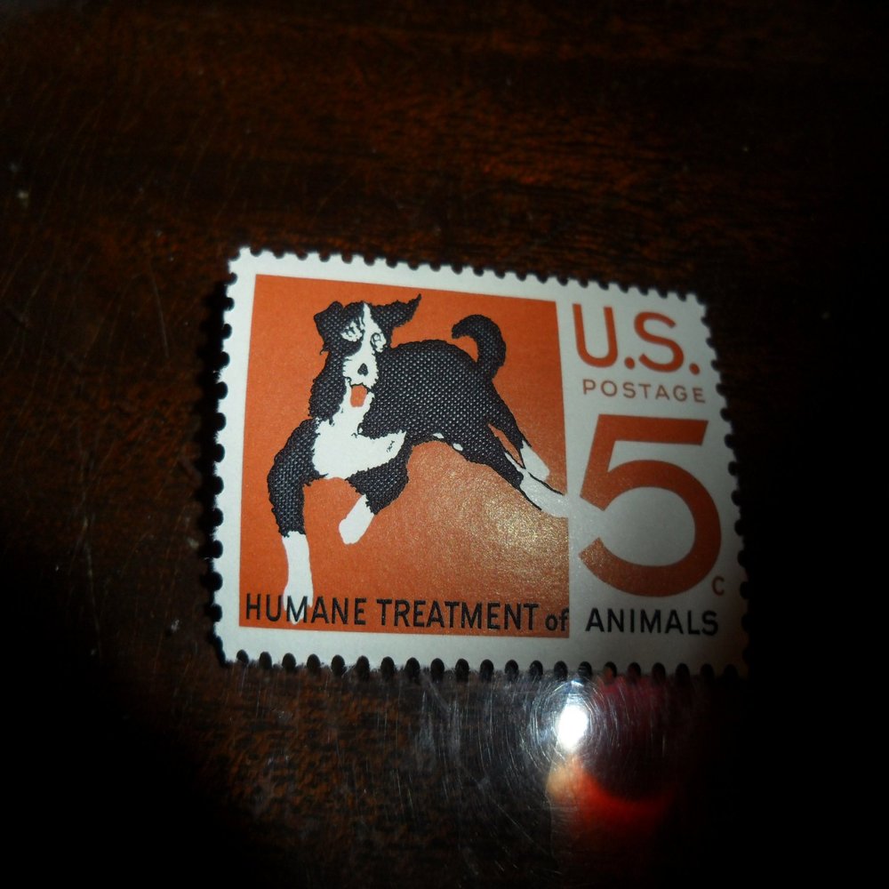 5 Cent Humane Treatment of Animals [Single Stamp SC#1307]