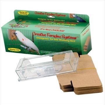 U.S. Toy Mini Translucent Spin Tops