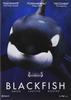 Blackfish (Dvd Import) (European Format - Region 2) (Non Us Format) (2014) Gabriela Cowperthwaite; Judy Bart; Erika Kahn view 1