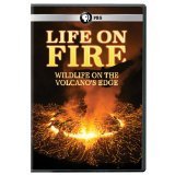 Life On Fire: Wildlife On The Volcanos Edge (dvd Movies, New)