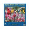 SUNSOUT INC - Songbirds and Cosmos - 500 pc Jigsaw Puzzle by Artist: William Vanderdasson - Finished Size 18" x 24" - MPN# 30448 view 1