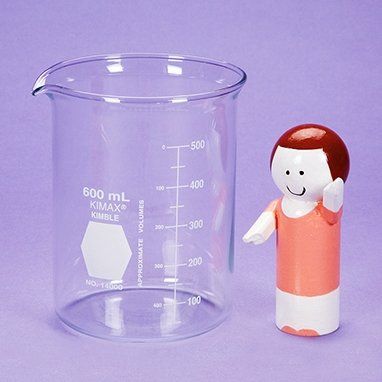 2121186 Beaker Glass 600ml sold indivdually sold as Individually Pt# 3027 by Health Care Logistics
