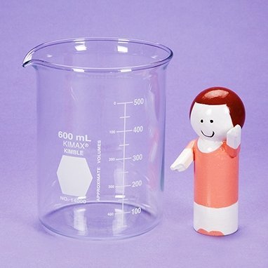 2121186 Beaker Glass 600ml sold indivdually sold as Individually Pt# 3027 by Health Care Logistics
