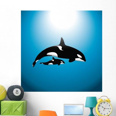 Wallmonkeys FOT-30025063-48 WM62230 Orca Whale with Baby Peel and Stick Wall Decals, 48" H x 48" W-Extra Large