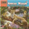 Tree Top Leopard Family 1000 Piece Puzzle view 1