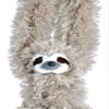 Wild Republic Hanging Three Toed Sloth Plush, Stuffed Animal, Plush Toy, Gifts for Kids, Zoo Animals, 30 inches view 3