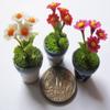 3 Lovely Mix Chamomile Plant Flower Dollhouse Miniature,Home Decoration view 3